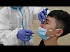 Nasal Sample Collection for PCR and Rapid Test