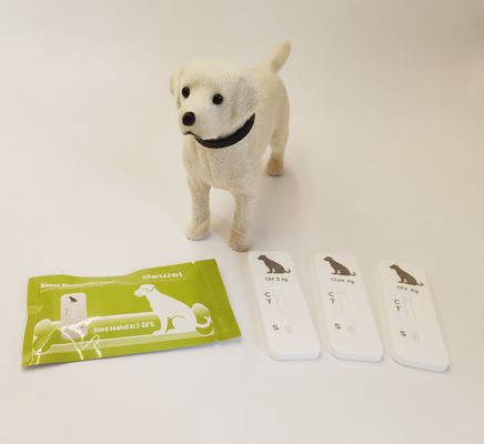 Convenient Canine Parvovirus CPV Antigen Rapid Test Veterinary Diagnostic Tool with ISO Certification